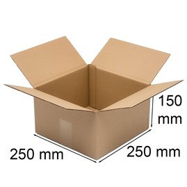Karton klapowy 250x250x150mm