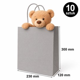 Torba prezentowa 230x120x300 mm szara 10 szt