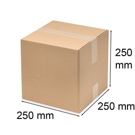 Karton klapowy 250x250x250mm