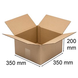Karton klapowy 350x350x200mm