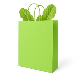 Torebka papierowa zielona 230x120x300 mm z kraftowymi uchwytami – prosta i ekologiczna