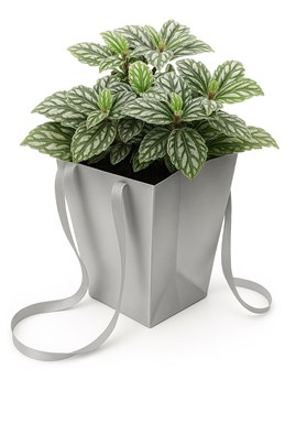 Ekskluzywna srebrna torba Prestige 125x125x180 / 165x165 mm – błyszczące opakowanie premium
