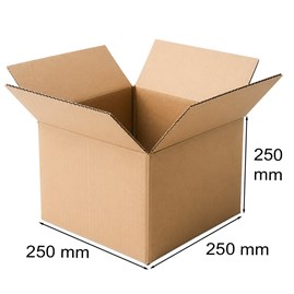Karton klapowy 250x250x250mm